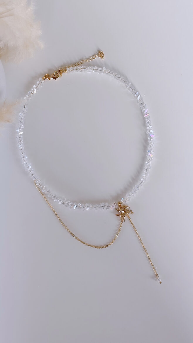 SPĀRNOTAIS PEGAZS ČOKERIS 