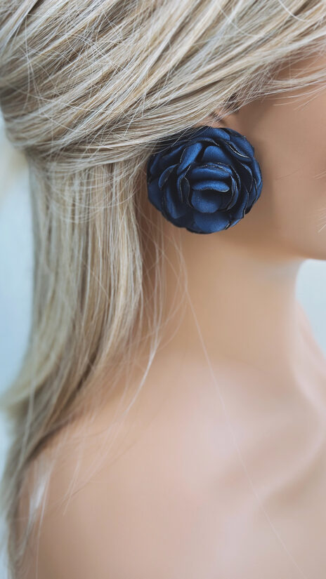 TUMŠI ZILI ROZĪŠU AUSKARI