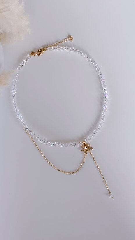 SPĀRNOTAIS PEGAZS ČOKERIS 