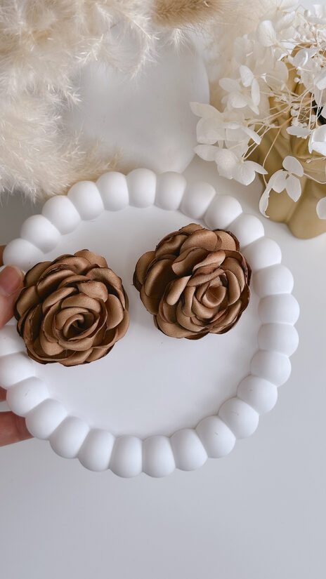 CAPUČĪNO ROZĪŠU AUSKARI